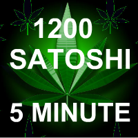 1200 Satoshi Every 5 Minutes