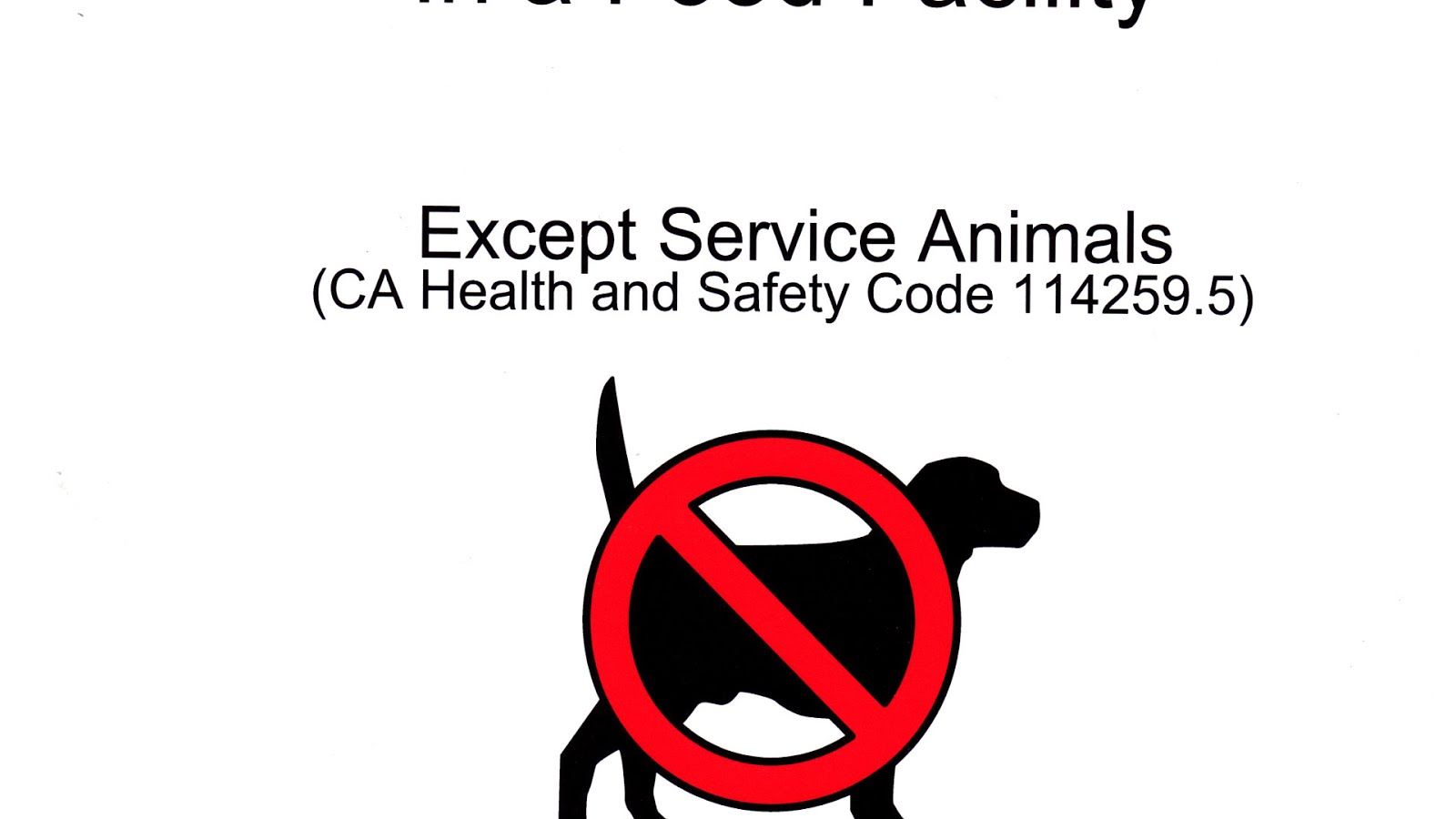 How To Get Service Dog License Dog Choices how-to-get-service-dog-license-dog-choices