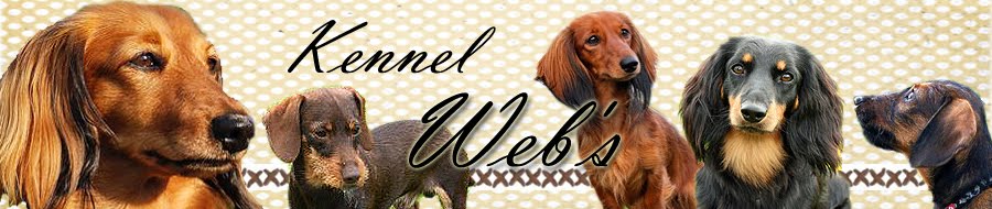 Kennel Web's