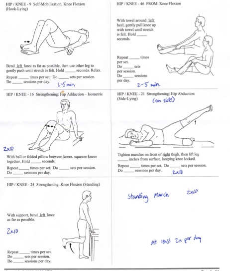 Physical Therapy Upper Back Exercises