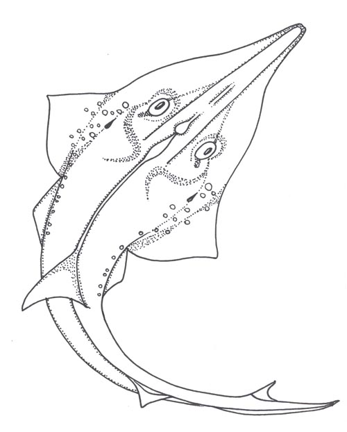 Blue Moon River: Apr 30, 2013