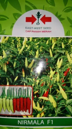 benih petani,tahan virus, buah lebat, cap panah merah, tahan layu, tahan cekaman calcium, Nirmala