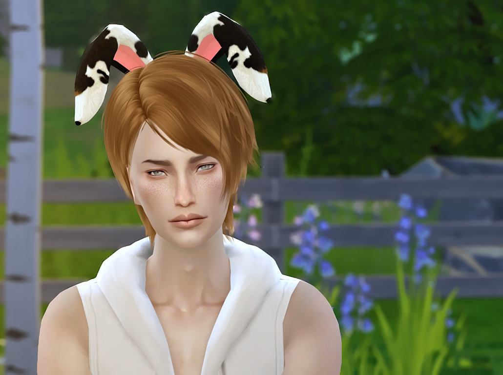 Sims 4 rabbit pet mod gotobda