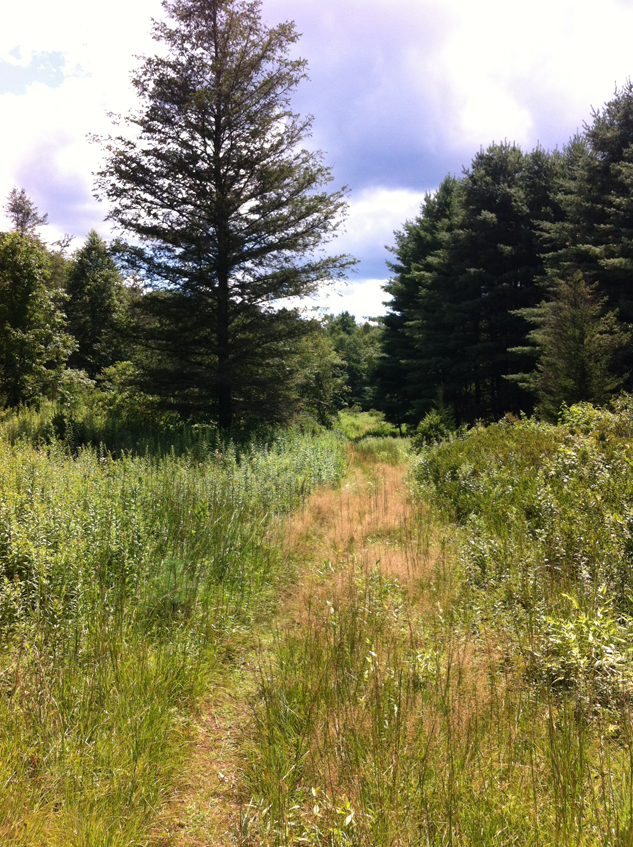 Connecticut Explorer Hiking The Aspetuck Valley Blue Blazed Trail