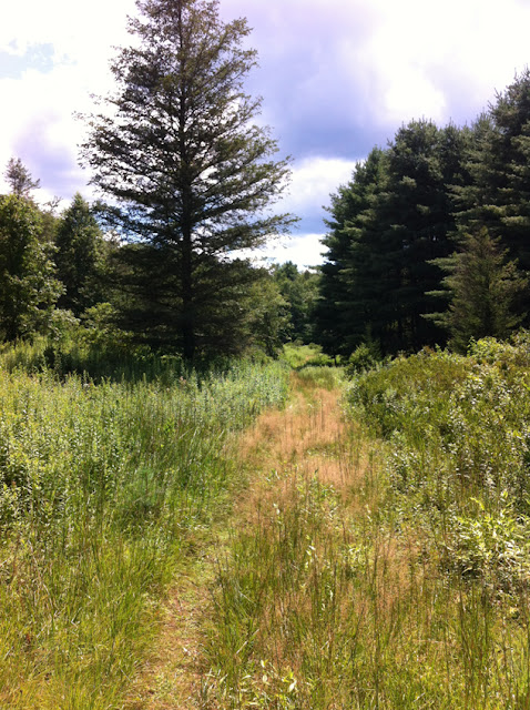 Aspetuck Valley Trail, Redding CT Aspetuck Valley Trail, Redding CT