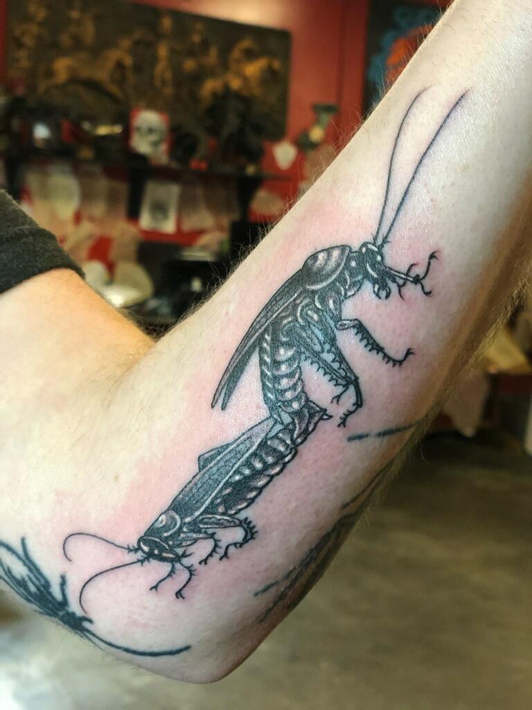 Un Tatuaje de Cucaracha