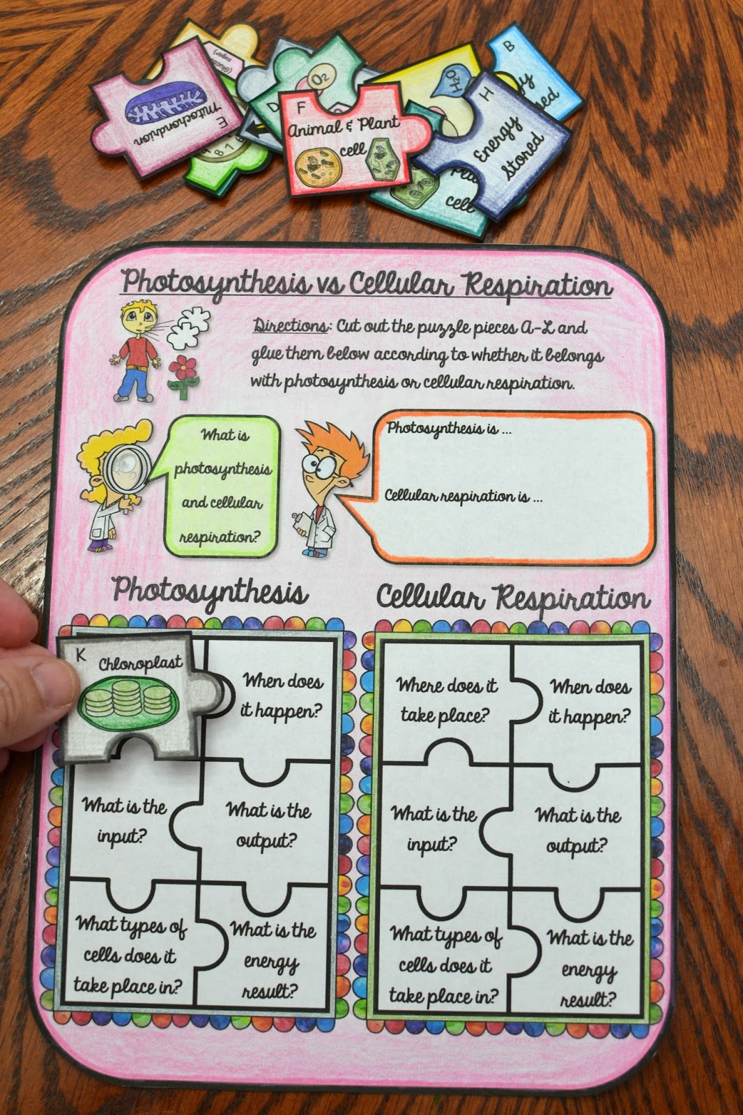 science interactive notebook cells math in demand animal cells vs plant cells venn diagram