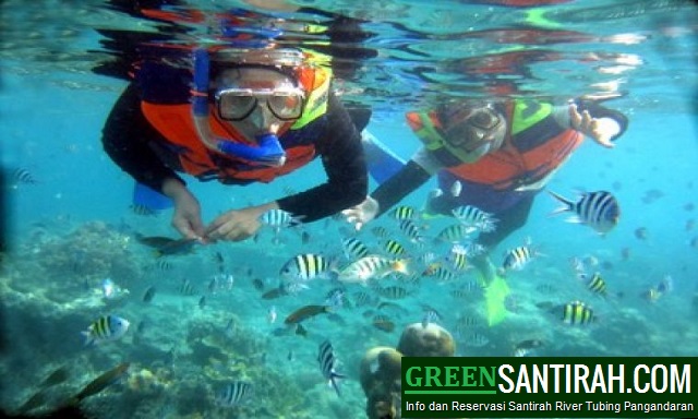 Paket Wisata Snorkeling Pangandaran Paket Wisata Snorkeling Pangandaran