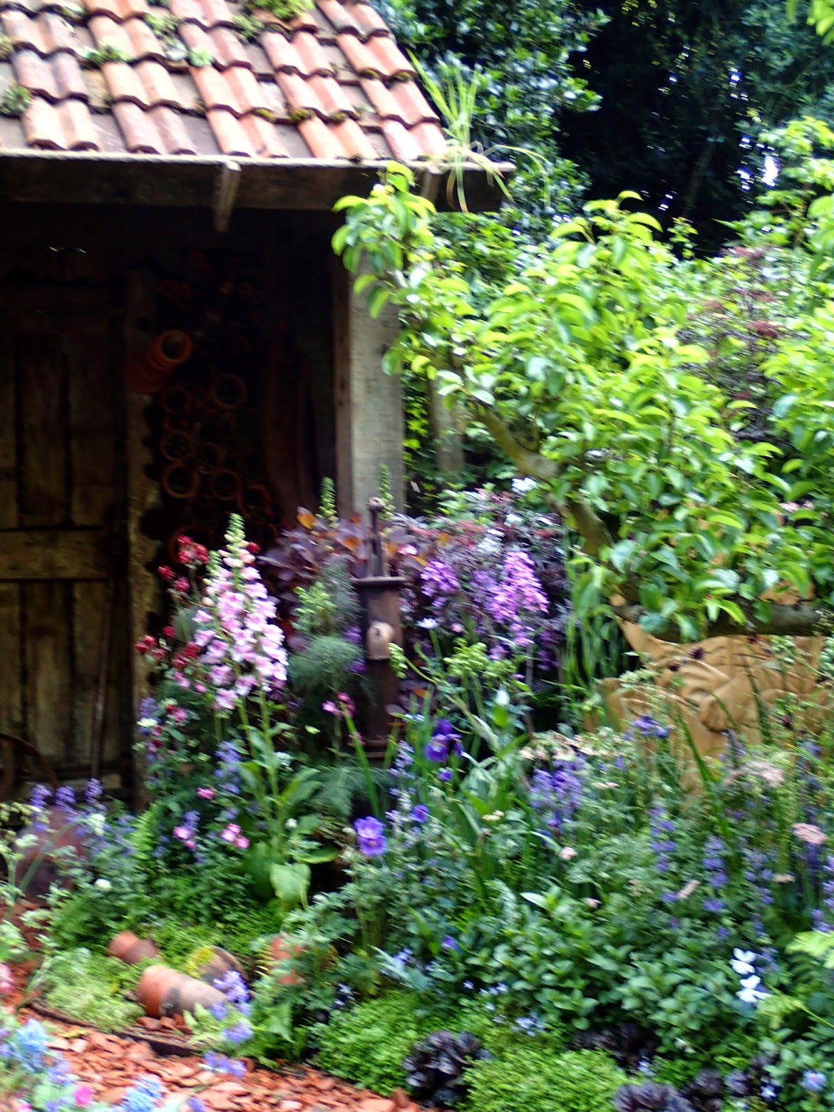 walking the rainbow trail Chelsea The DialAFlight Potter's Garden