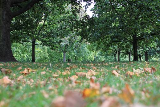 Londres 2011 - Blogs de Reino Unido - Día 7: 14 de Septiembre (13)