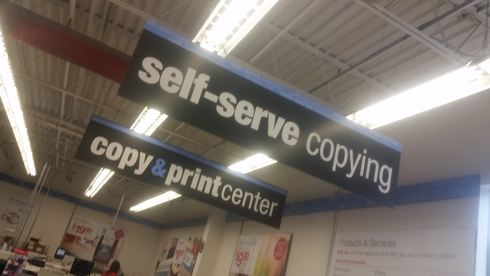 According to Bella Bella's Trip to Staples Is Staples a Dog Friendly