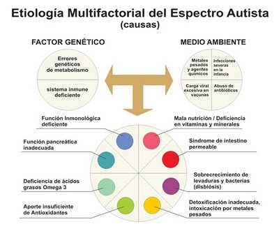 TEA como NeuroDiversidad. Aprendizaje y Encuentros: Etiología ...