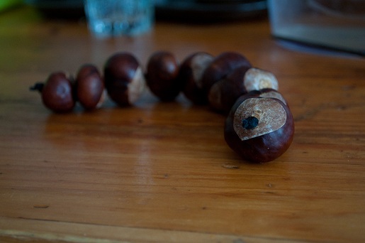 гусеница из каштанов