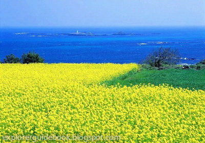  tempat wisata paling terkenal di Korea Selatan 10 Tempat Wisata Populer di Korea Selatan