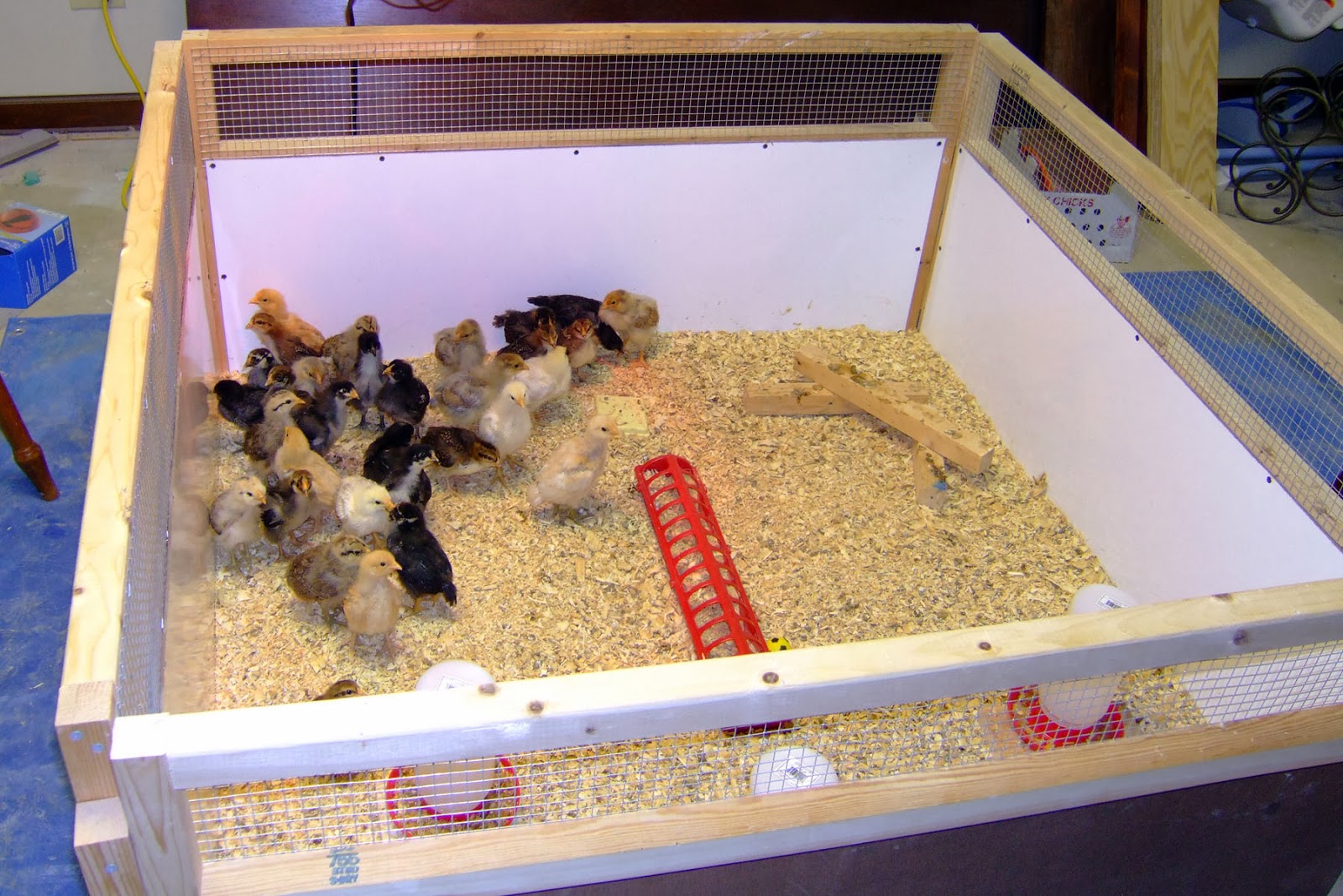 Step 3: Set It Up Above The Level Of The Sand Or Block | Setting Up A Chicken Brooder 