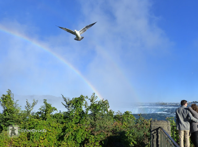 Niagara Falls - Horseshoe Falls und White Water Walk auf der kanadischen Seite