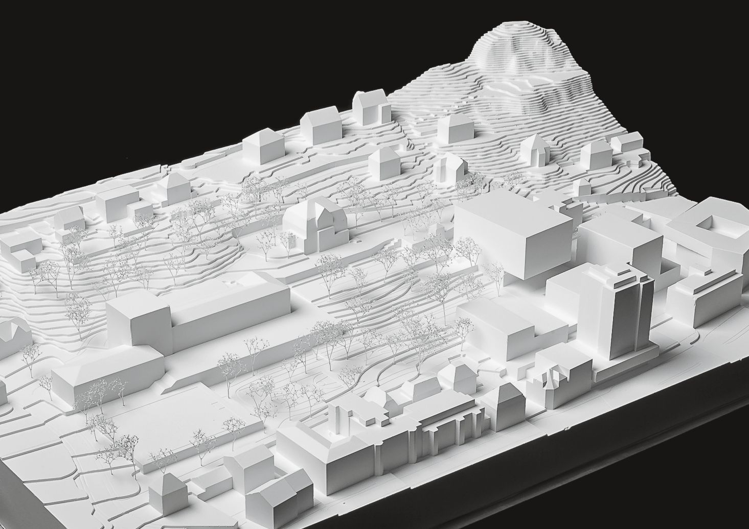 a f a s i a: Berrel Berrel Kräutler Architekten
