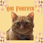 Obi Forever