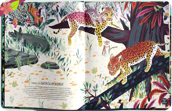 Jungles et réserves naturelles du monde de Mia Cassany et Marcos Navarro - éditions Nathan