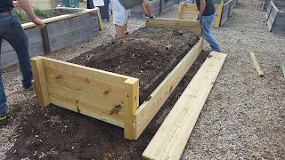 assembly of the new garden beds