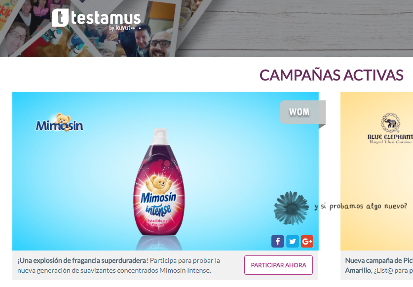 Mimosín Intense nueva campaña en Testamus by Kuvut
