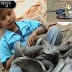 பாம்புடன் கொஞ்சி விளையாடும் சிறுமி வீடியோ..!