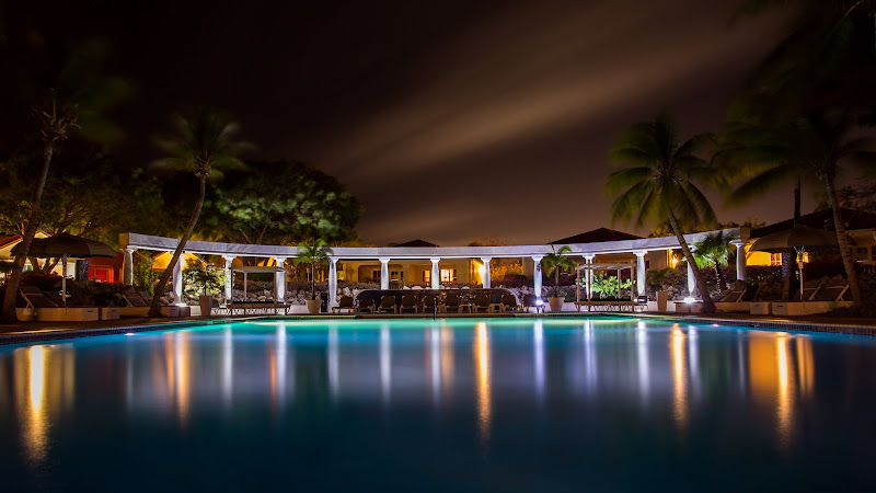 Night Swimming HD