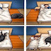 17 Hilarious Problems Dog Owners Will Relate To