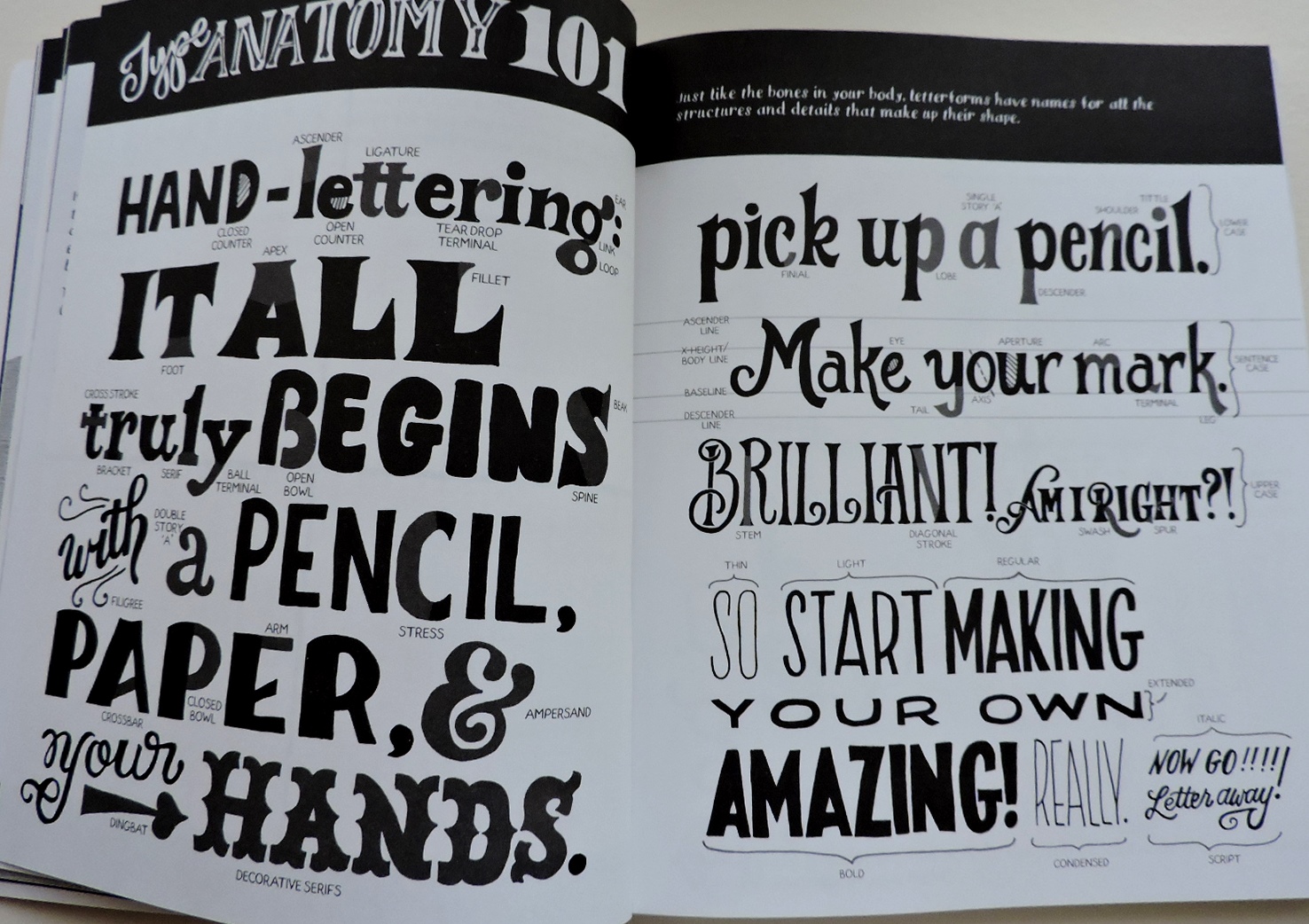 Sweet Bee Buzzings A Review HandLettering for Everyone