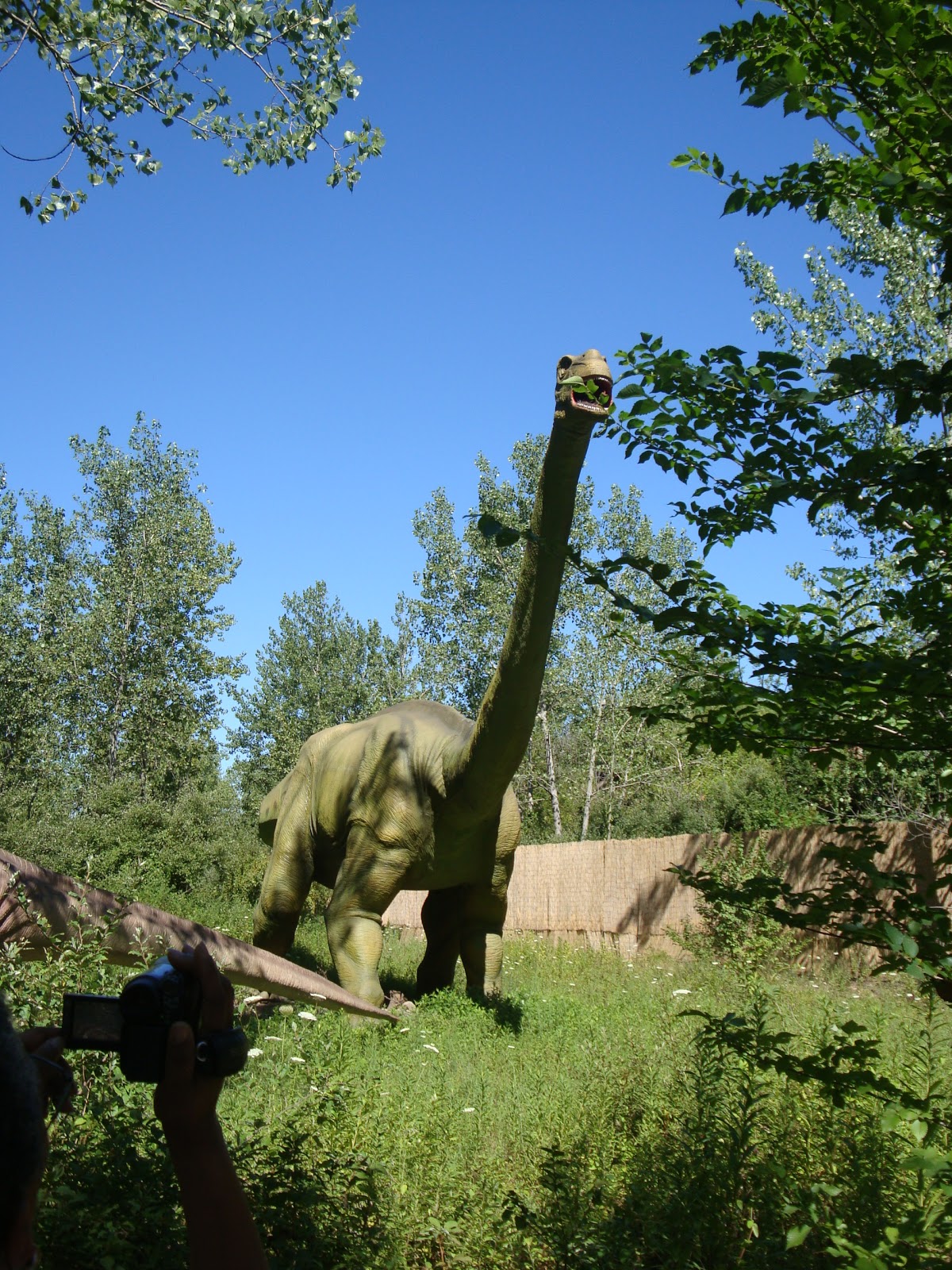 field station dinosaurs groupon