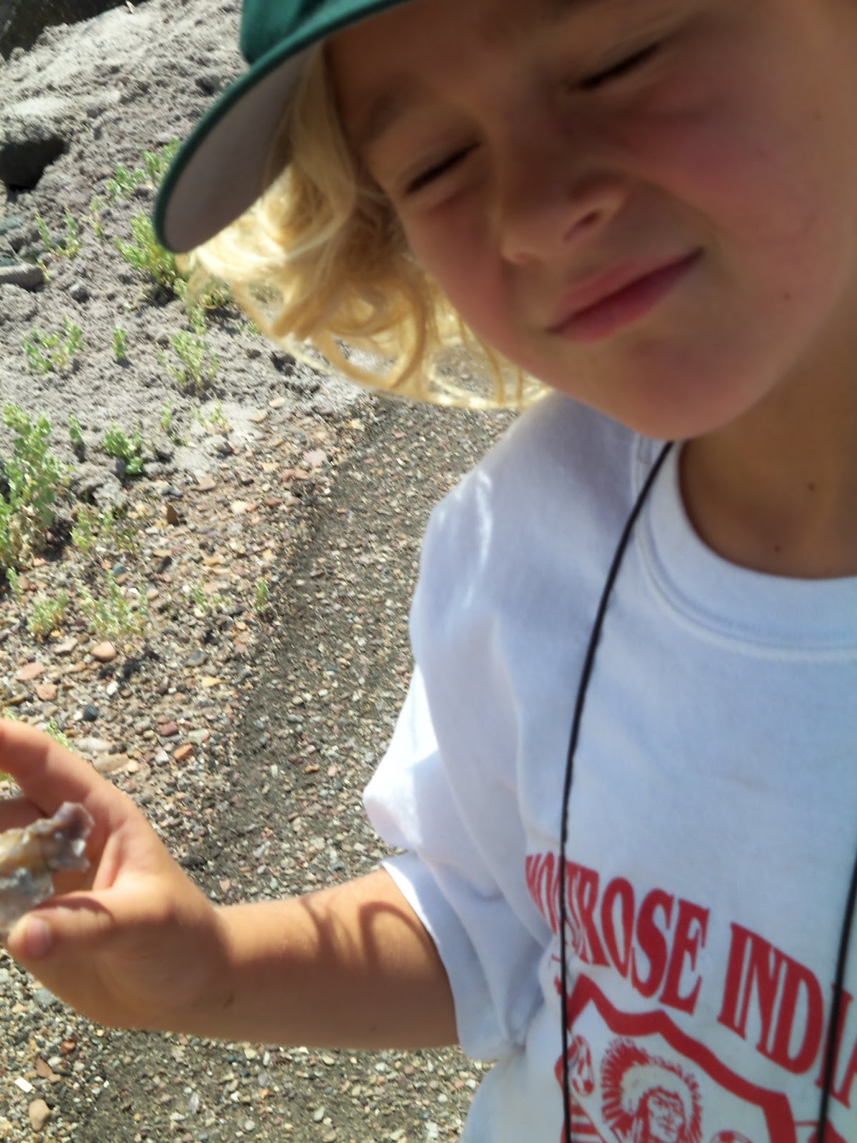 And Away We Go . . . Chinle, AZ to Flagstaff, AZ (Two Night Stay in