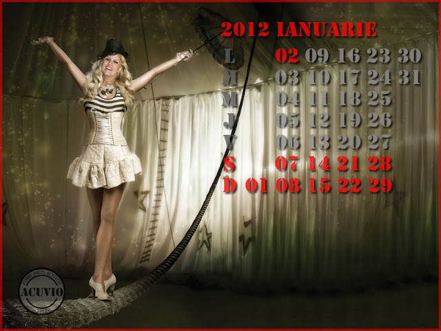 Sexiest calendar funny Elena Udrea Echilibru