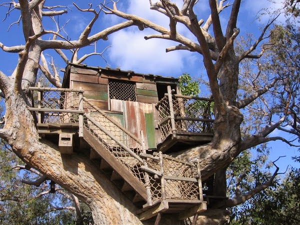 What not to miss in the tree house