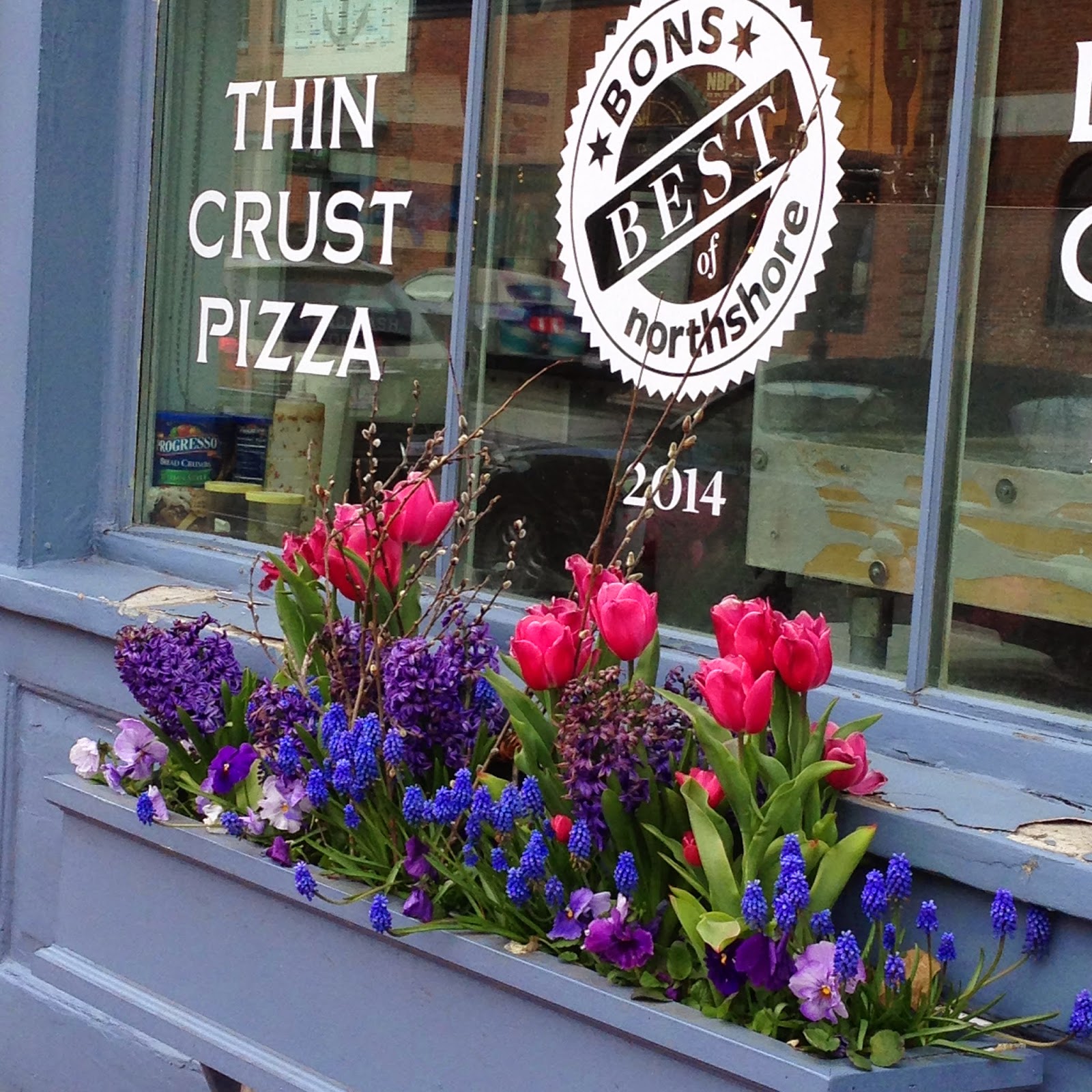 DesignsandEvents Window Boxes of Newburyport