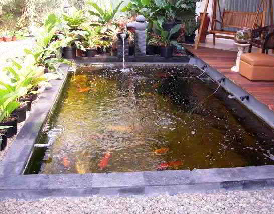  45 contoh desain  kolam  ikan  hias minimalis sederhana