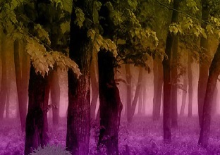 Thanksgiving Fruits Forest Escape Juegos de Escape
