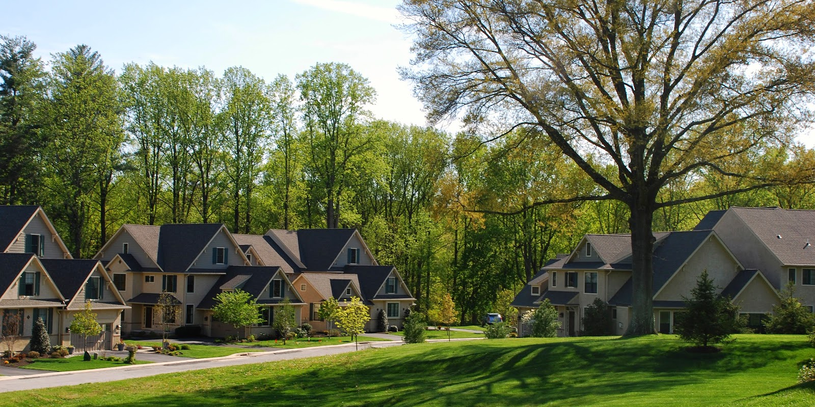 Carl Adams Homes • Keller Williams Real Estate Traymore, Rose Valley