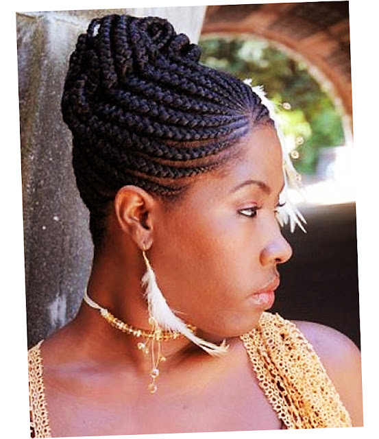 Different African American Braided Hairstyles Picture Preview 2016 Best