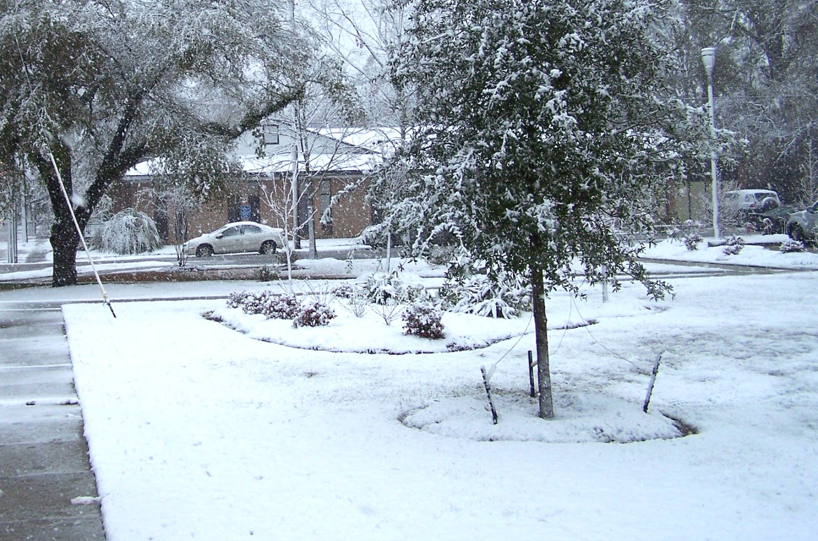 Tammany Family Snow in Covington