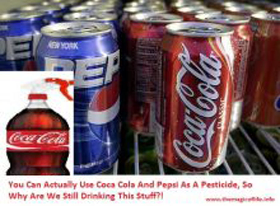 YOU CAN ACTUALLY USE COCA COLA AND PEPSI AS A PESTICIDE, SO WHY ARE WE STILL DRINKING THIS STUFF?!