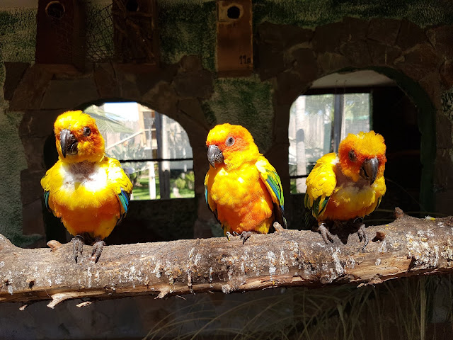 zoo aventura furgo-camper-alacant-valencia-nens