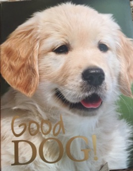 proseandkahn fact friday good dog by nicola jane swinney