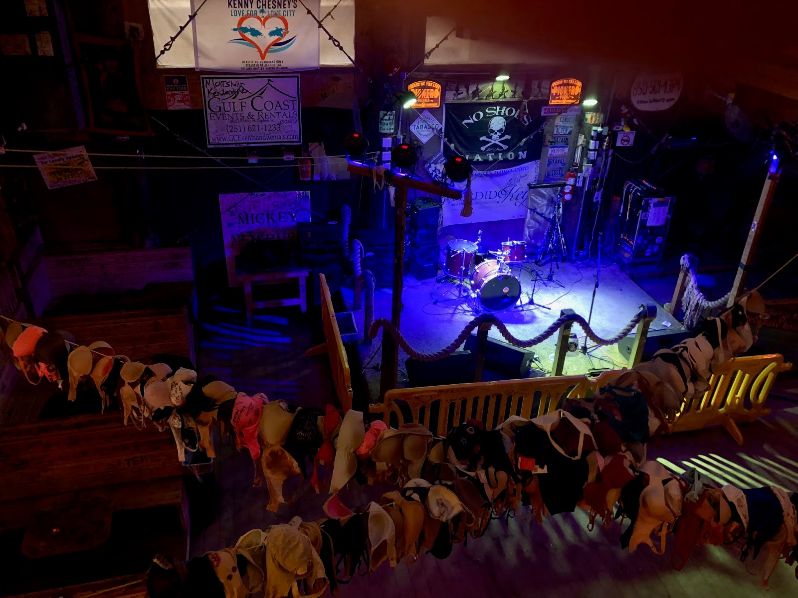 IS THAT THE CAT THAT CHEWED YOUR NEW SHOES?