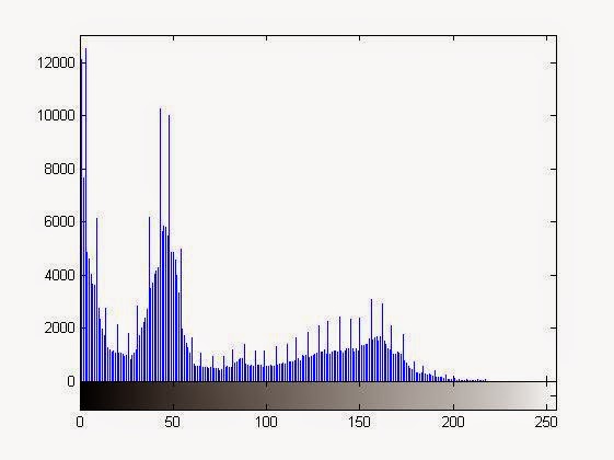 Left Shifted Histogram after the multiplication operation on the image