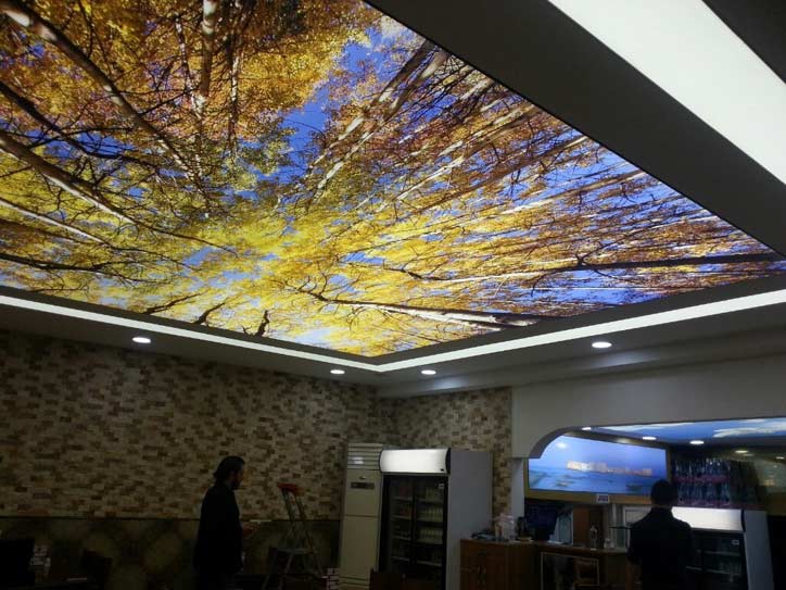 All Types Of 3d Stretch Ceiling Designs 2019 3d Ceiling Art