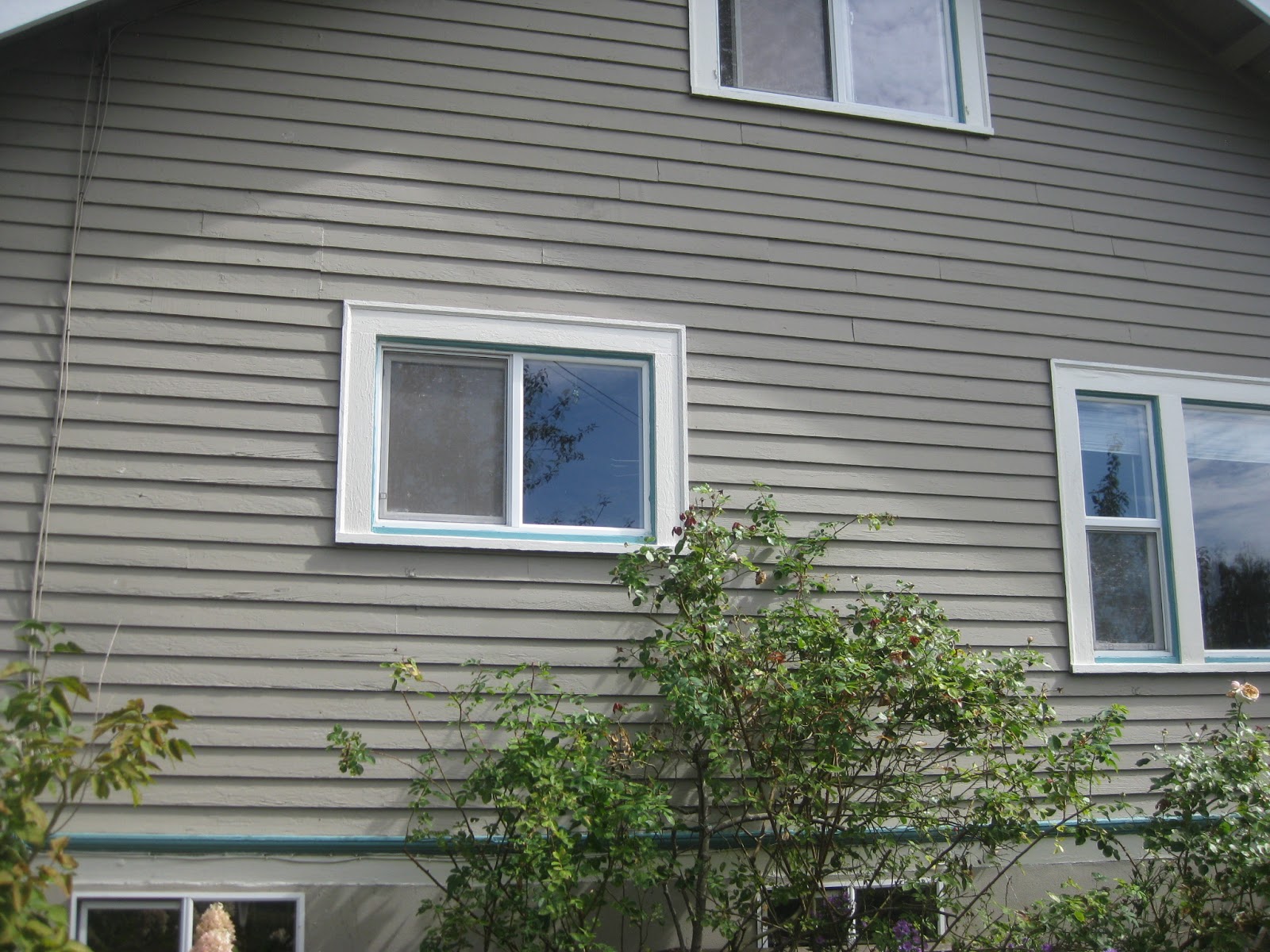 Addicted to Nature Exterior trim paint