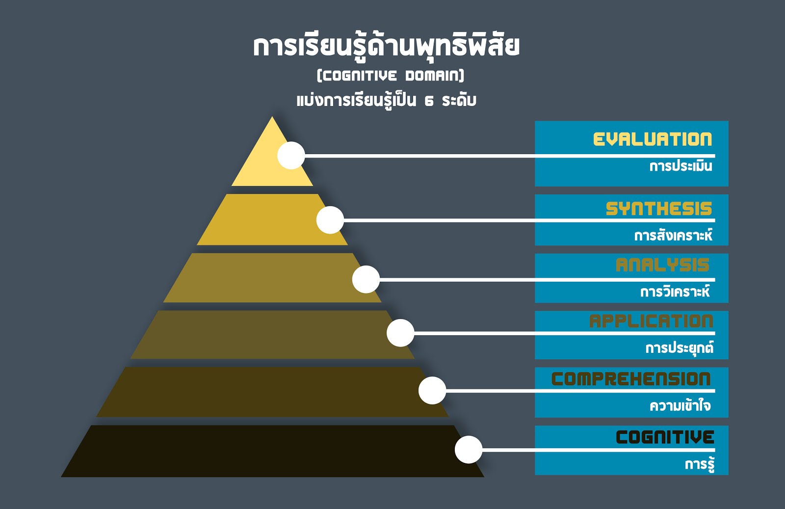 MODEL การเรียนรู้ด้านพุทธิพิสัย (Cognitive Domain)