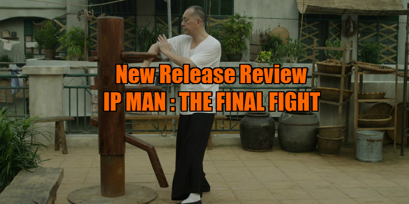 ip man the final fight film review