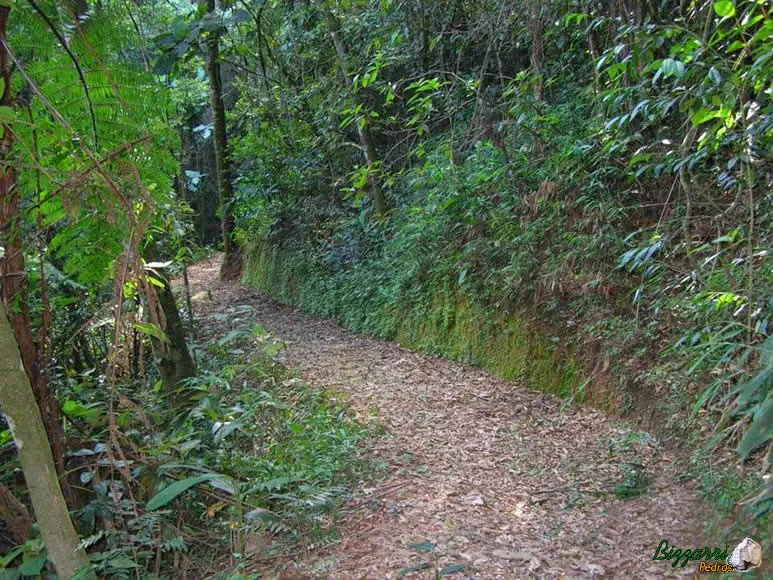 Execução de caminhos na mata com o piso com pedrisco do rio solto na terra.