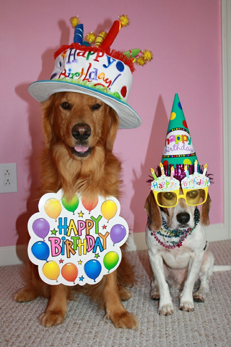 birthday images